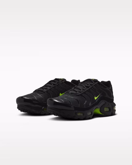 Ανδρικά παπούτσια Nike Air Max Plus
